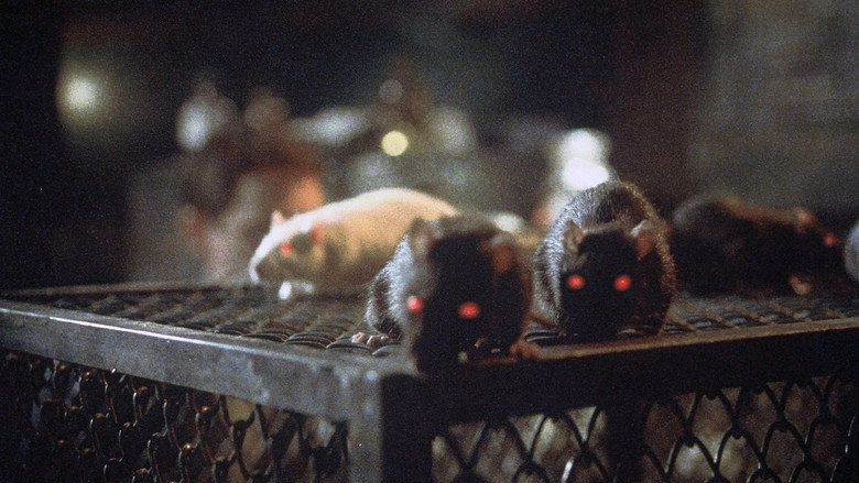 Rats: Night Of Terror (1984)