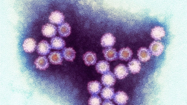 Winter Viruses And How To Beat Them (2013)