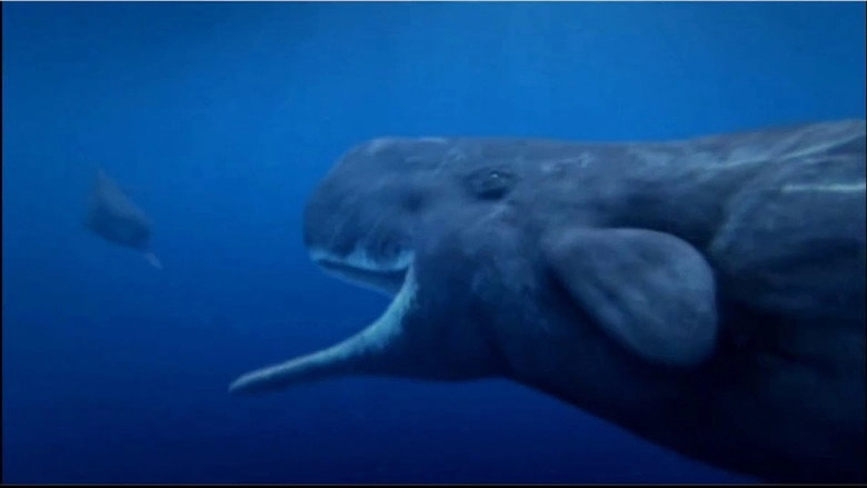 Ocean Odyssey (2006)