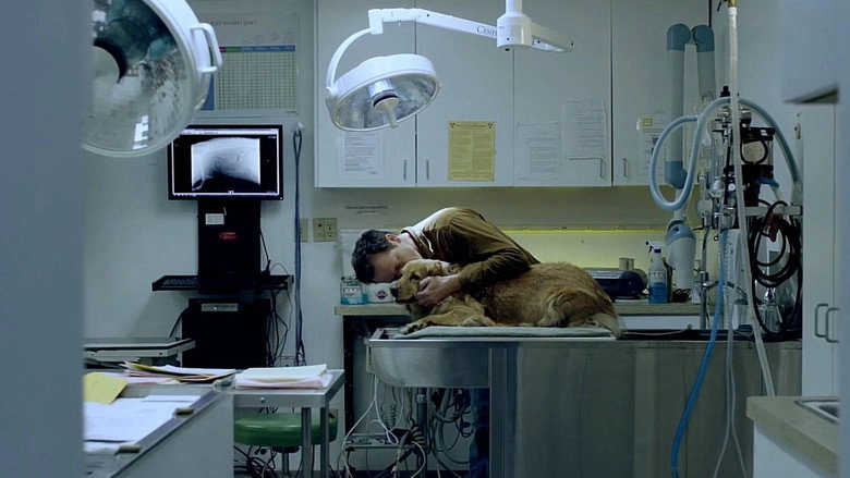 Swan Song (2015)