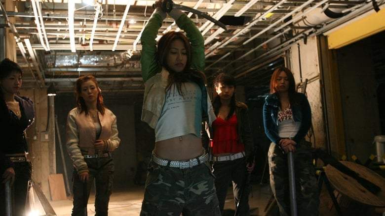 Cool Dimension (2006)