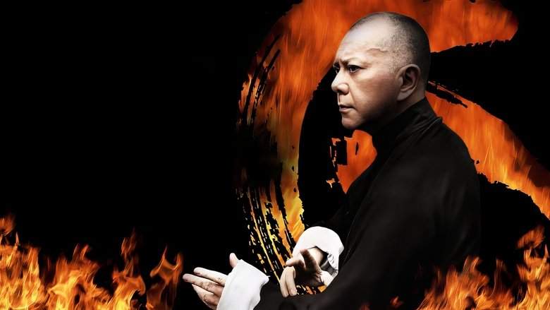 Ip Man: The Final Fight (2013)