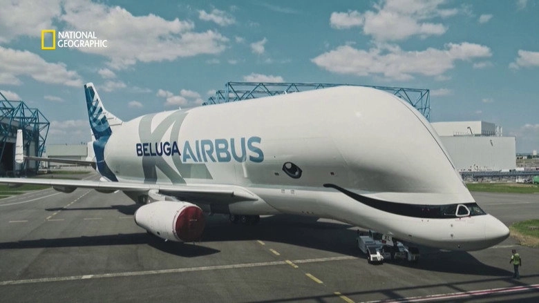 Beluga XL (2019)