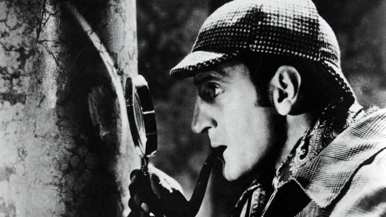The Hound Of The Baskervilles (1939)