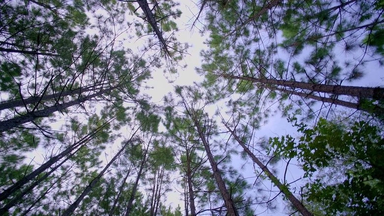 The Changing Same (2018)