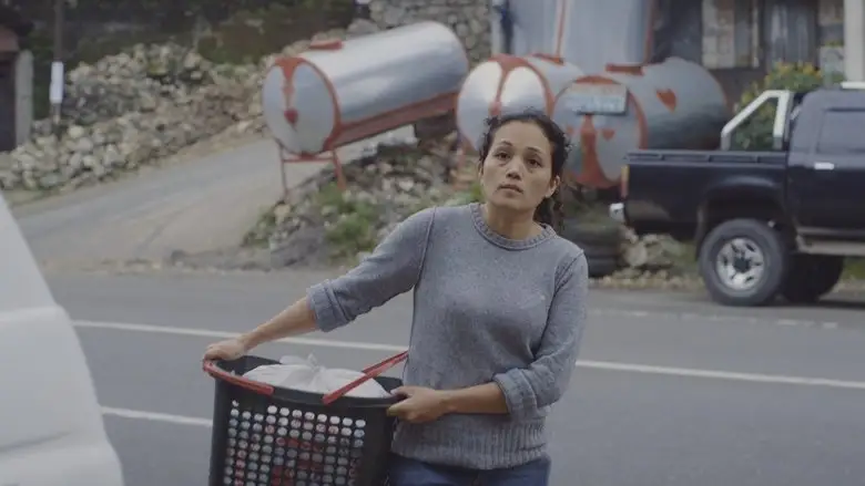 Remittance (2016)