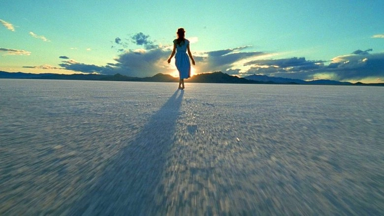Rosy-Fingered Dawn: A Film On Terrence Malick (2002)