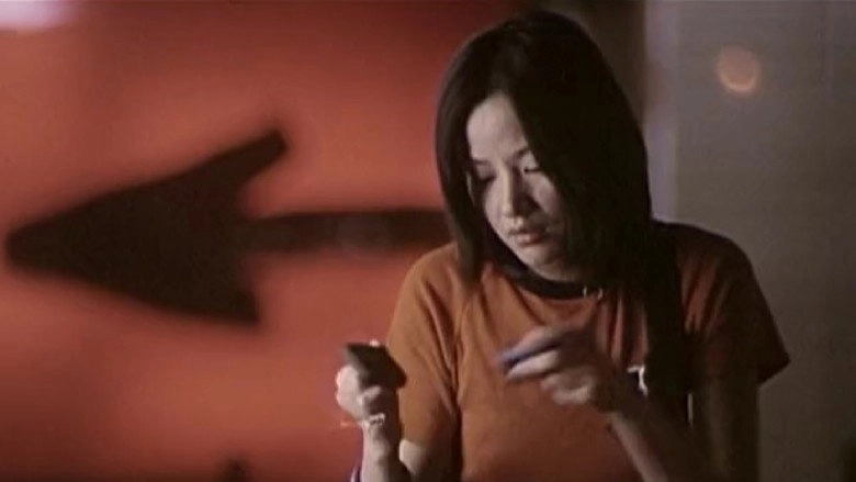 Shei De Shei Xin Teng (2004)