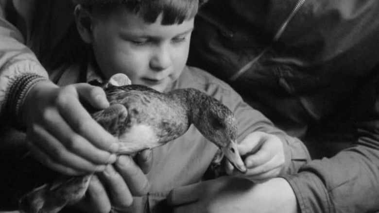 A Journal Of The Outdoors No. 11 (1953)