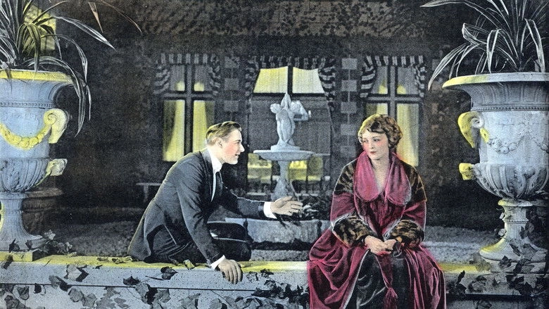 Shadows Of Suspicion (1919)