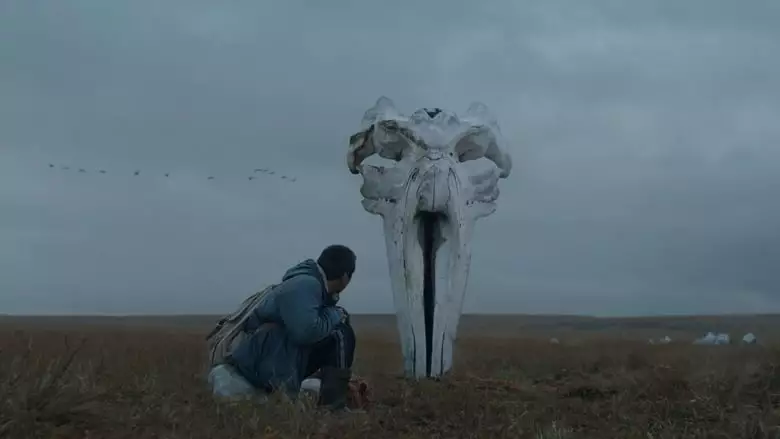 The Whaler Boy (2020)