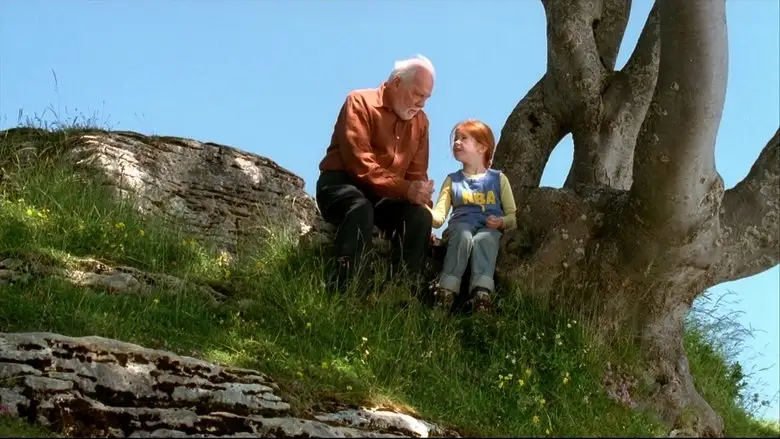 The Butterfly (2002)