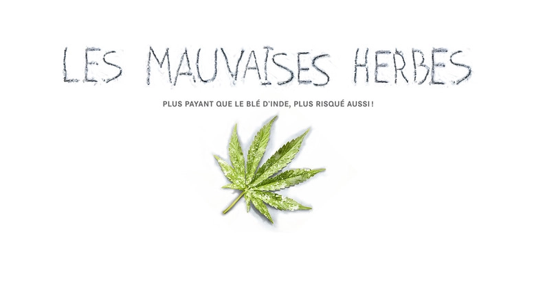 Les Mauvaises Herbes (2016)