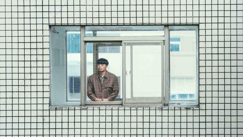 The Sound Of Falling (2019)