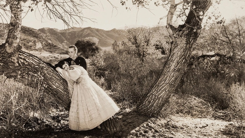The Desert Rider (1929)