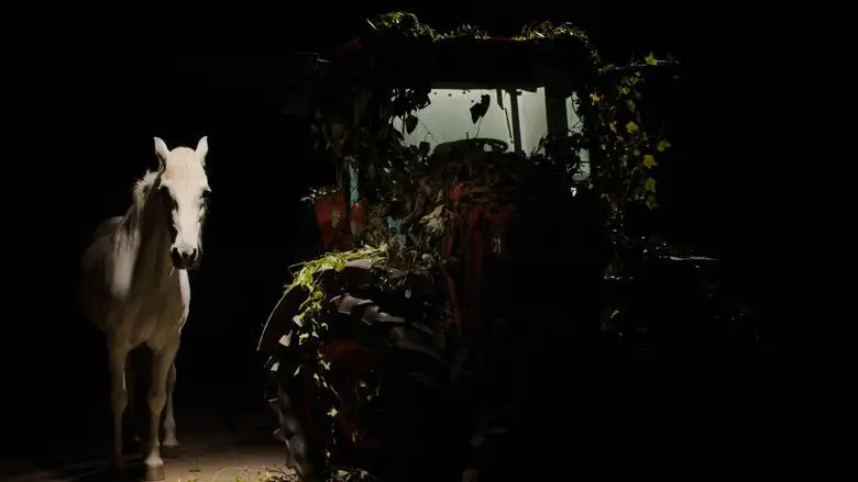 Un Perro Ladra Detras Del Deposito (2026)