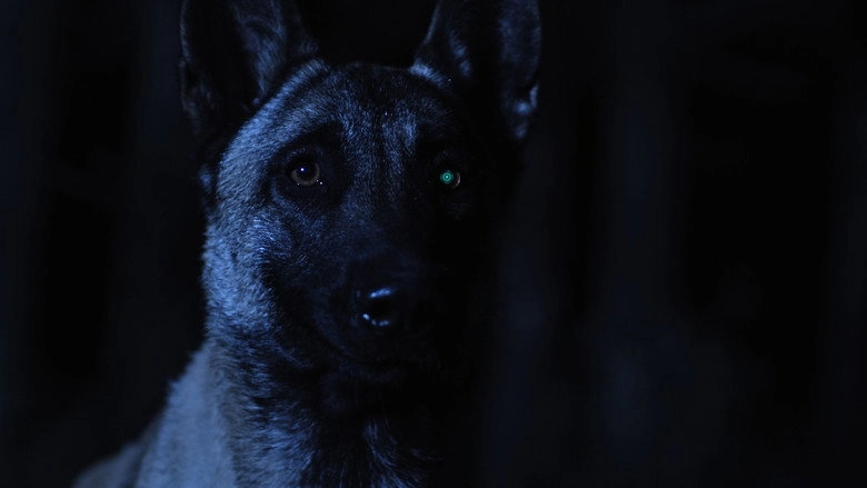 ICon (2019)