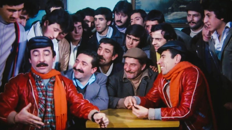 Abbas In Flower (1982)
