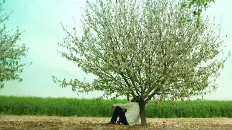 Matat (2013)