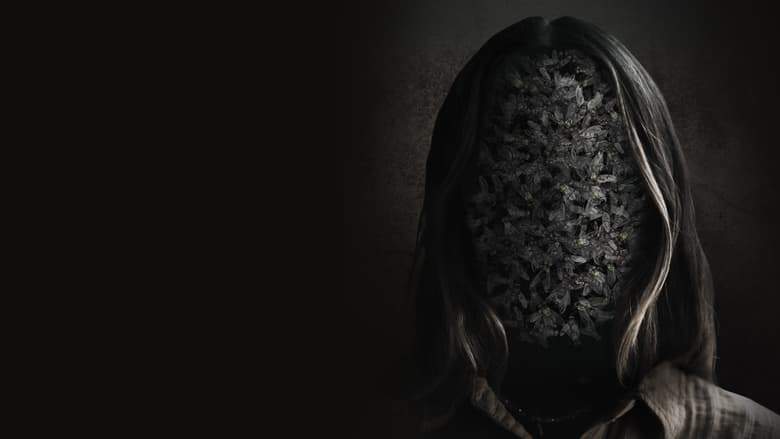 Wake (2024)