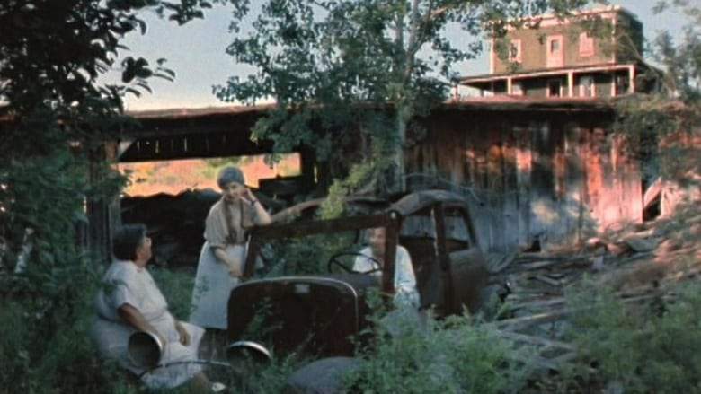 Strangers In Good Company (1990)