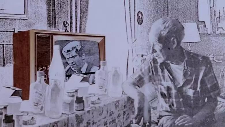 L'affaire Bronswik (1978)