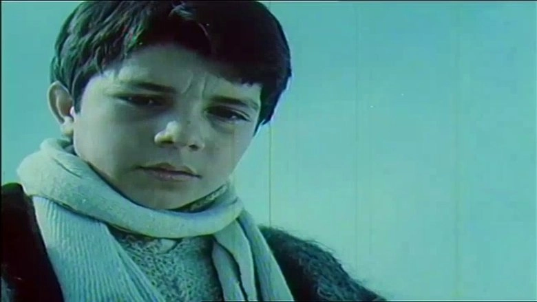 Partizani I Vogel Velo (1980)