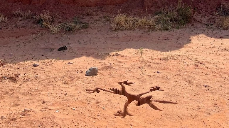 Coyote V. Acme (2026)