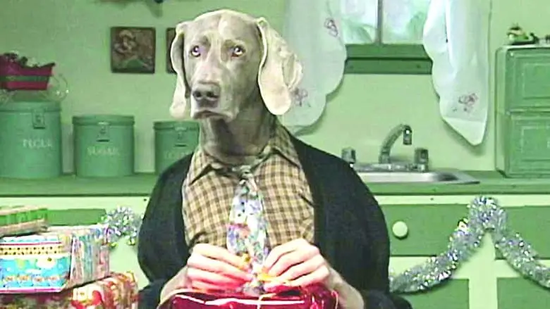 Fay's 12 Days Of Christmas (Short) (1995)