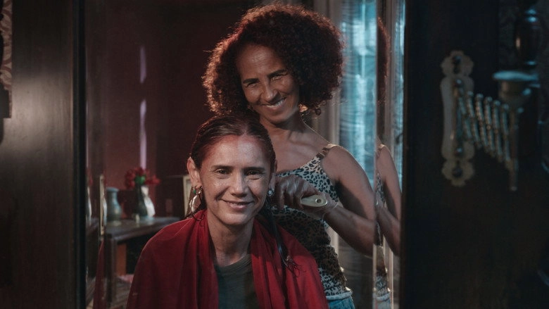 Fiz Um Foguete Imaginando Que Voce Vinha (2026)