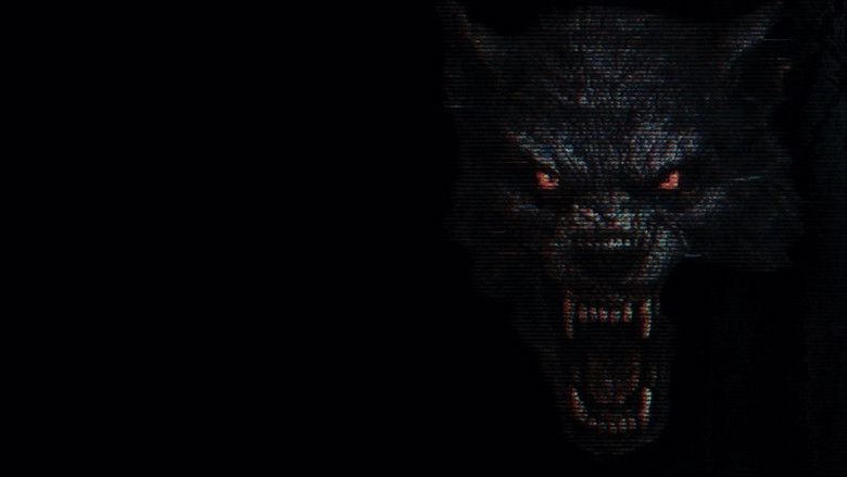 The Fairfield County Four (2026)