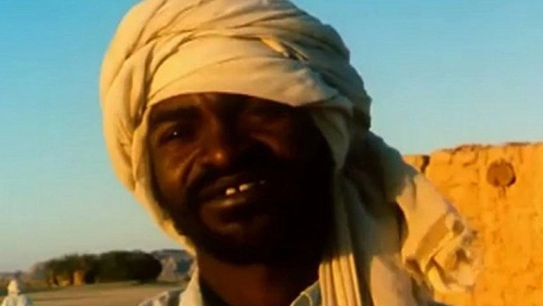 Afriques: Comment Ca Va Avec La Douleur? (1996)