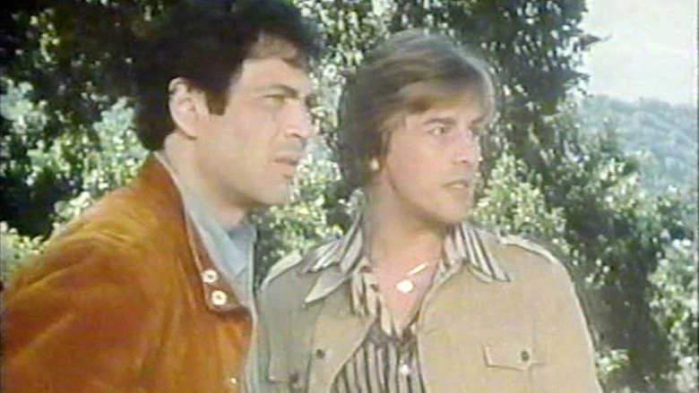 The City (1977)