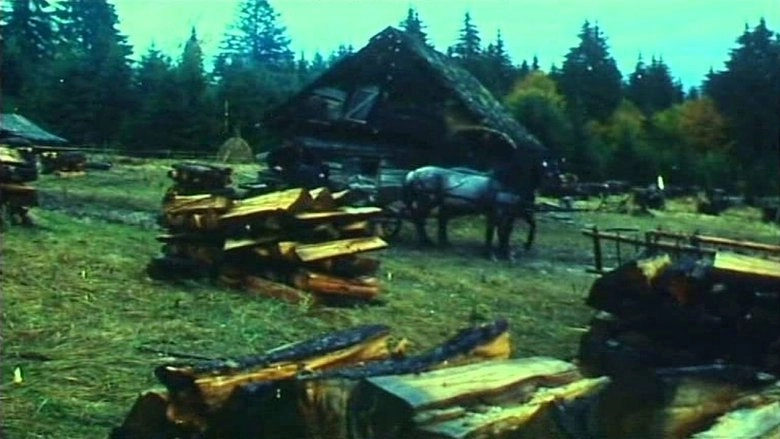 Abel A Rengetegben (1994)