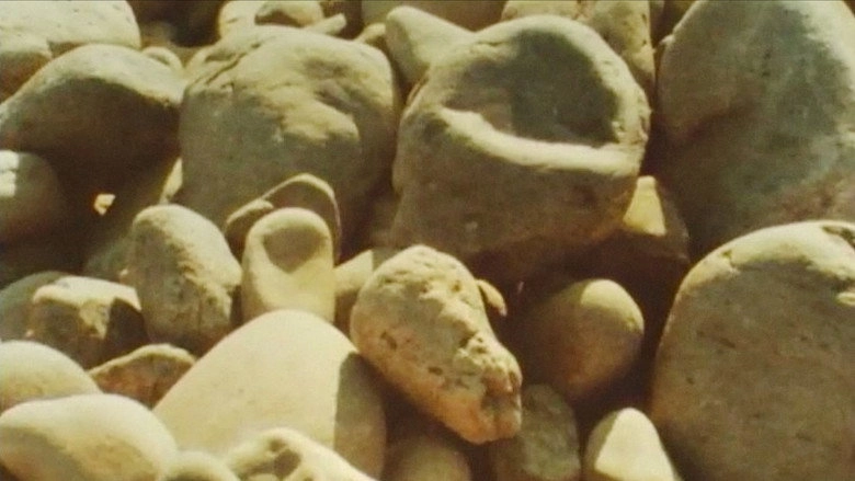 STORNS (1995)