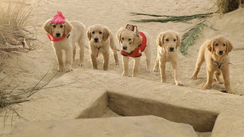 Treasure Buddies (2012)