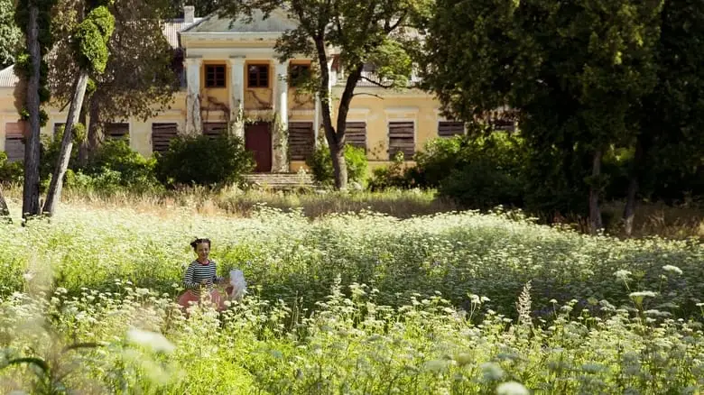 Drugelio Sirdis (2022)