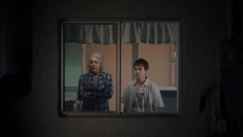 Room Temperature (2025)