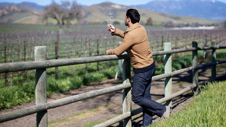 SOMM (2013)