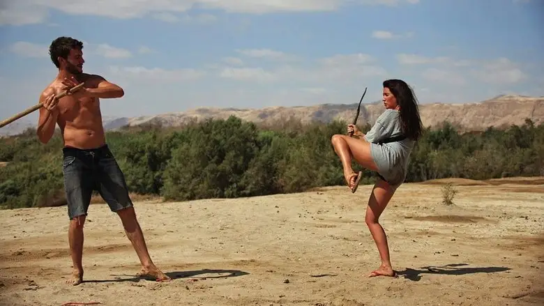 Paradise Cruise (2013)