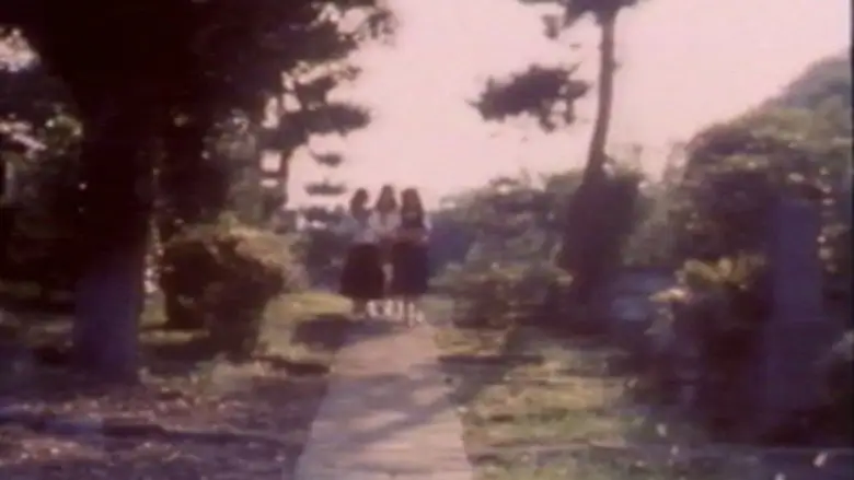 Momoco Wonderland: Strange House (1986)