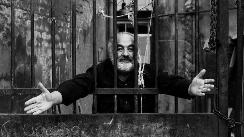 The World Is a Window: Making The Colour of Pomegranates (2011)