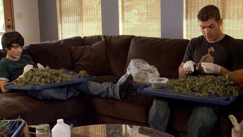 Green Is Gold (2016)