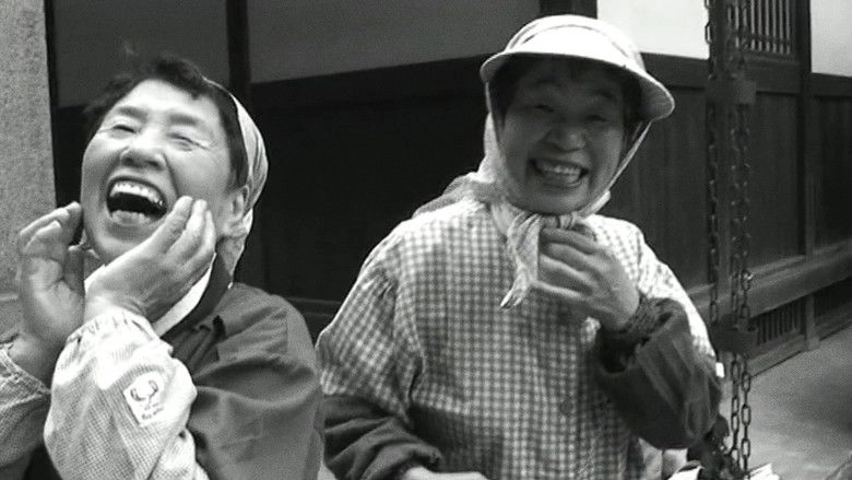 Correspondencia Jonas Mekas - J.L. Guerin (2011)