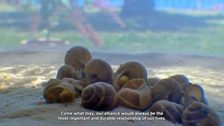 Battle Of The Shells (2013)