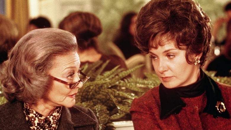 Summer Wishes, Winter Dreams (1973)