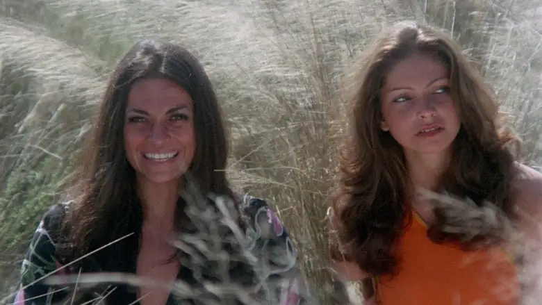 Pick-up (1975)