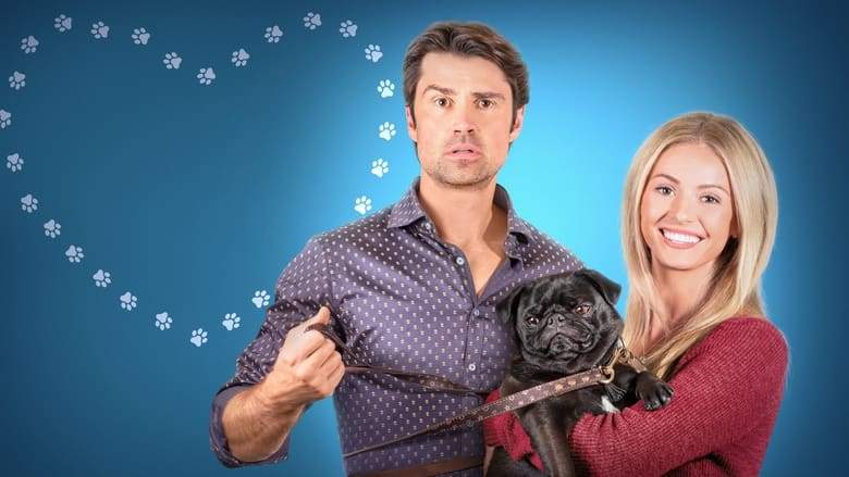 The Dog Lover's Guide To Dating (2023)