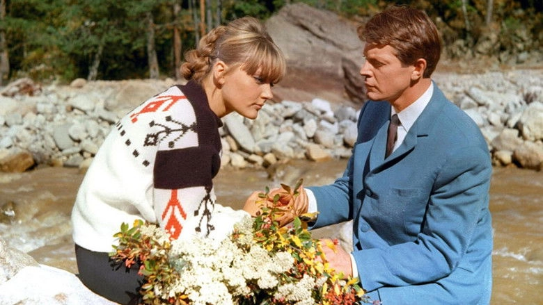 Evo Zvali Robert (1967)