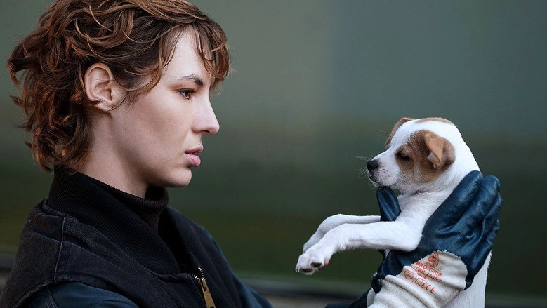 I Am A Soldier (2015)